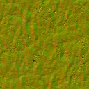 AET007_429_n_l.jpg