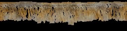 AET007_488_a_l.jpg