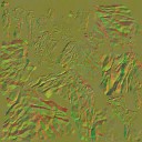 AET008_038_n_l.jpg