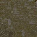 AET008_065_a_l.jpg