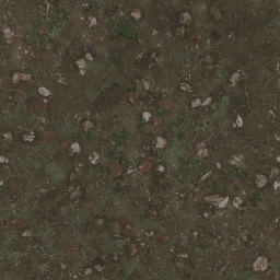 AET030_054_a_l.png