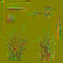 AET030_124_n_l.png