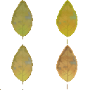 AET030_266_a_l.png