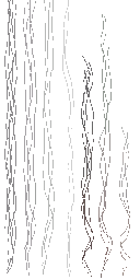 AET030_304_a_l.png