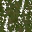 AET030_315_a_l.png