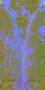 AET030_320_n_l.jpg