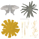 AET030_347_a_l.png