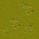 AET051_001_n_l.jpg
