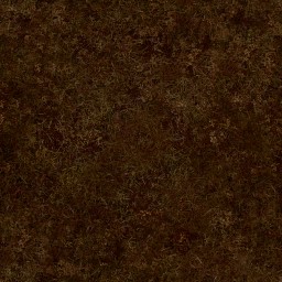 AET051_003_a_l.jpg