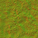 AET051_020_n_l.jpg