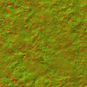 AET051_026_n_l.jpg