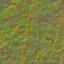 AET051_033_n_l.jpg