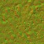 AET051_046_n_l.jpg