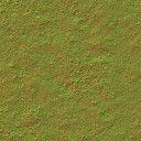 AET051_052_n_l.jpg