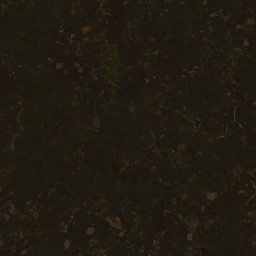 AET051_063_a_l.jpg