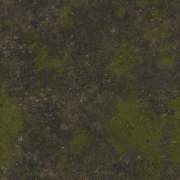 AET051_064_a_l.jpg