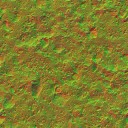 AET051_119_n_l.jpg