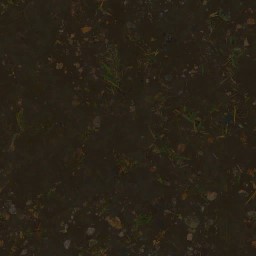 AET051_120_a_l.jpg