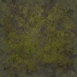 AET051_152_a_l.jpg