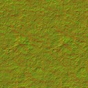 AET051_161_n_l.jpg