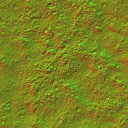 AET051_169_n_l.jpg