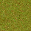 AET051_204_n_l.jpg