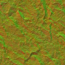 AET051_232_n_l.jpg