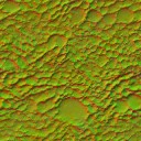 AET051_246_n_l.jpg