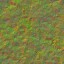 AET051_256_n_l.jpg