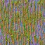 AET051_261_n_l.jpg