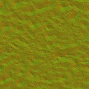 AET051_268_n_l.jpg