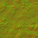 AET051_406_n_l.jpg