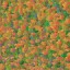 AET051_451_n_l.jpg