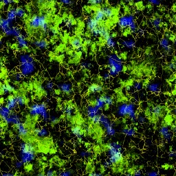 AET051_509_3m_l.jpg