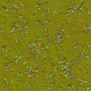 AET051_520_n_l.jpg