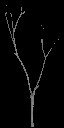 AET055_124_a_l.jpg
