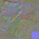 AET055_154_n_l.jpg