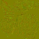 AET055_170_n_l.jpg
