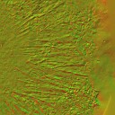 AET055_197_n_l.jpg