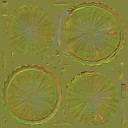 AET055_246_n_l.jpg
