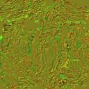 AET055_264_n_l.jpg