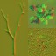AET055_470_n_l.jpg