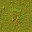 AET055_488_n_l.jpg