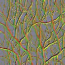 AET063_006_n_l.jpg