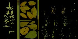 AET066_002_a_l.jpg