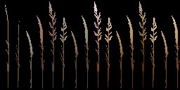 AET066_005_a_l.jpg