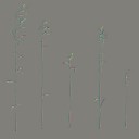 AET066_020_n_l.jpg