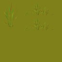 AET066_031_n_l.jpg