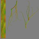AET066_050_n_l.jpg