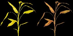 AET066_300_a_l.jpg
